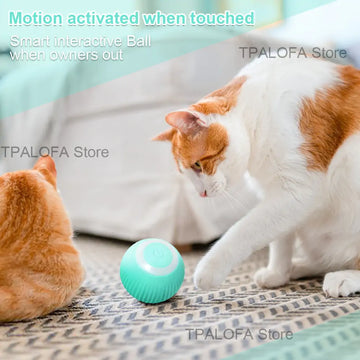 -moving Kitten Toys